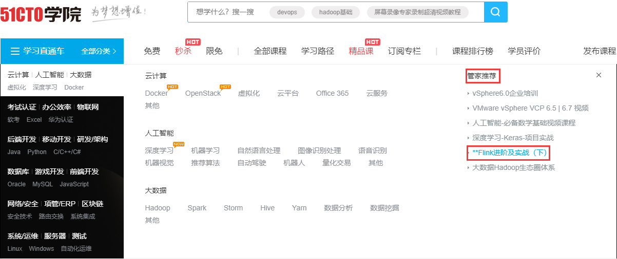 Flink-管家推荐课程